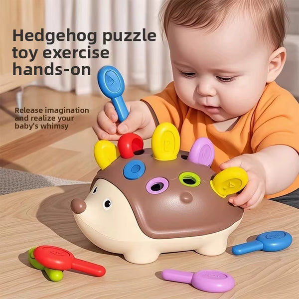 Montessori Baby Hedgehog Toys Concentration Training Education Toys Fi ...